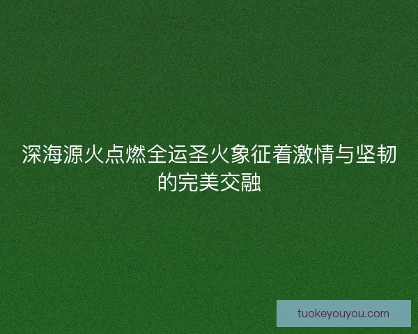 深海源火点燃全运圣火象征着激情与坚韧的完美交融