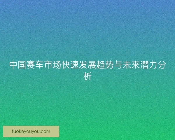 中国赛车市场快速发展趋势与未来潜力分析